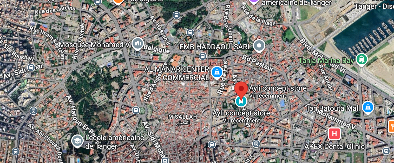 AYLI CONCEPT STORE MAP